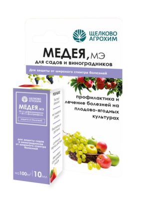 Спасаем сад от грибных болезней: разновидности заболеваний и методы лечения